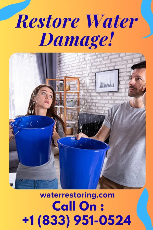 water restoration Horizon Sewage Cleanup Specialists Reedsville